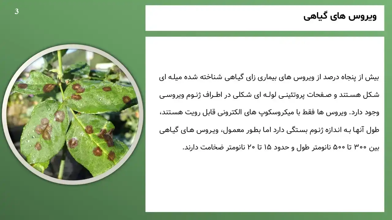 پاورپوینت ویروس های گیاهی
