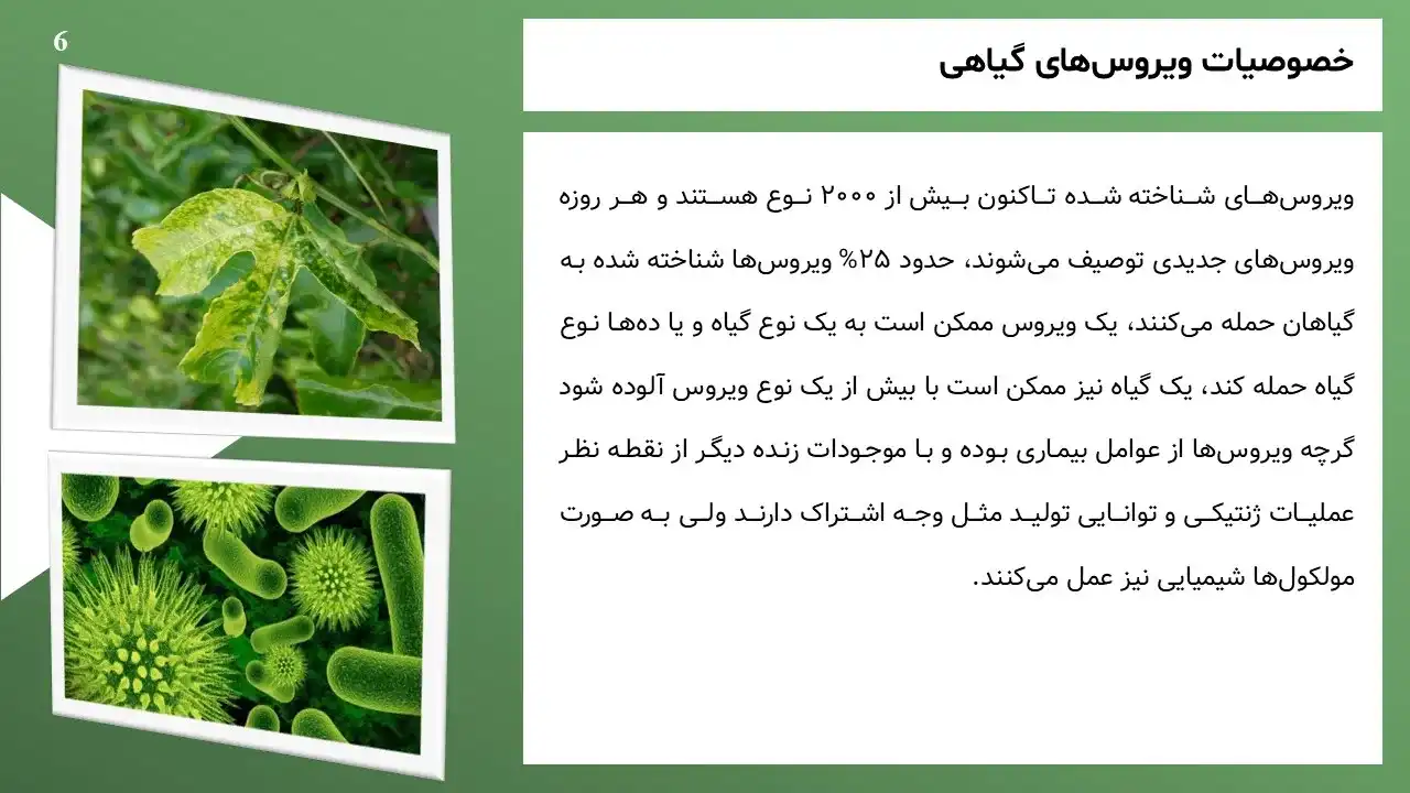 پاورپوینت ویروس های گیاهی