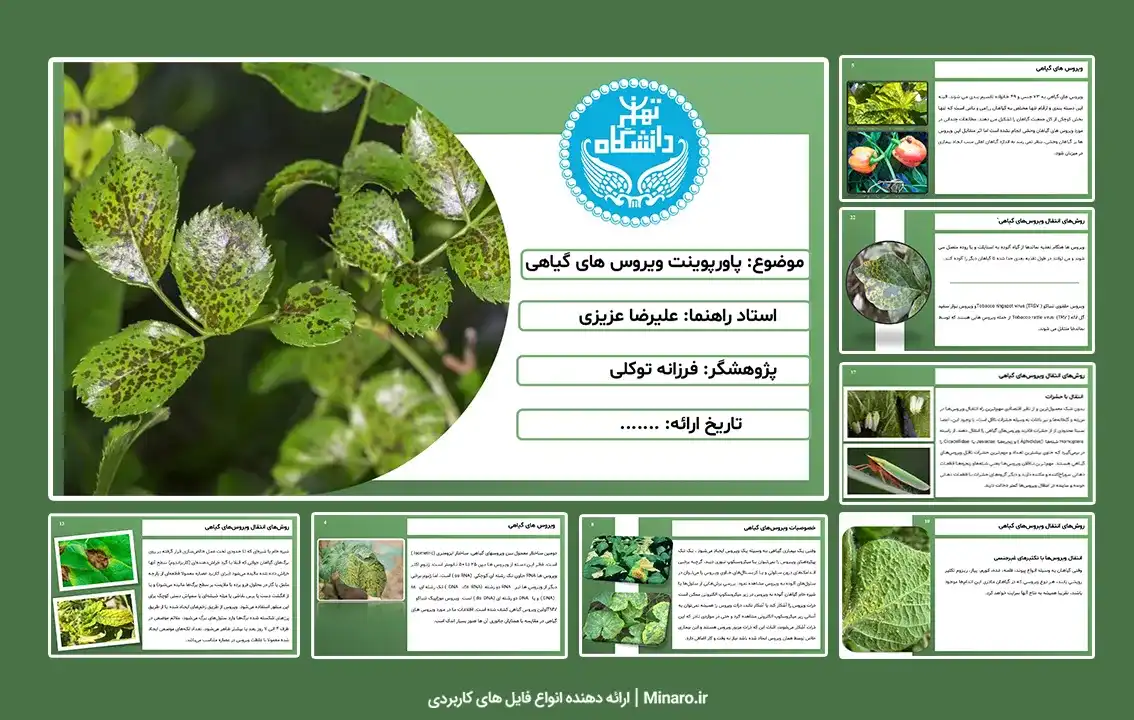 پاورپوینت ویروس های گیاهی