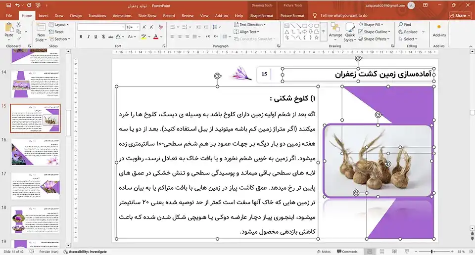 پاورپوینت تولید زعفران