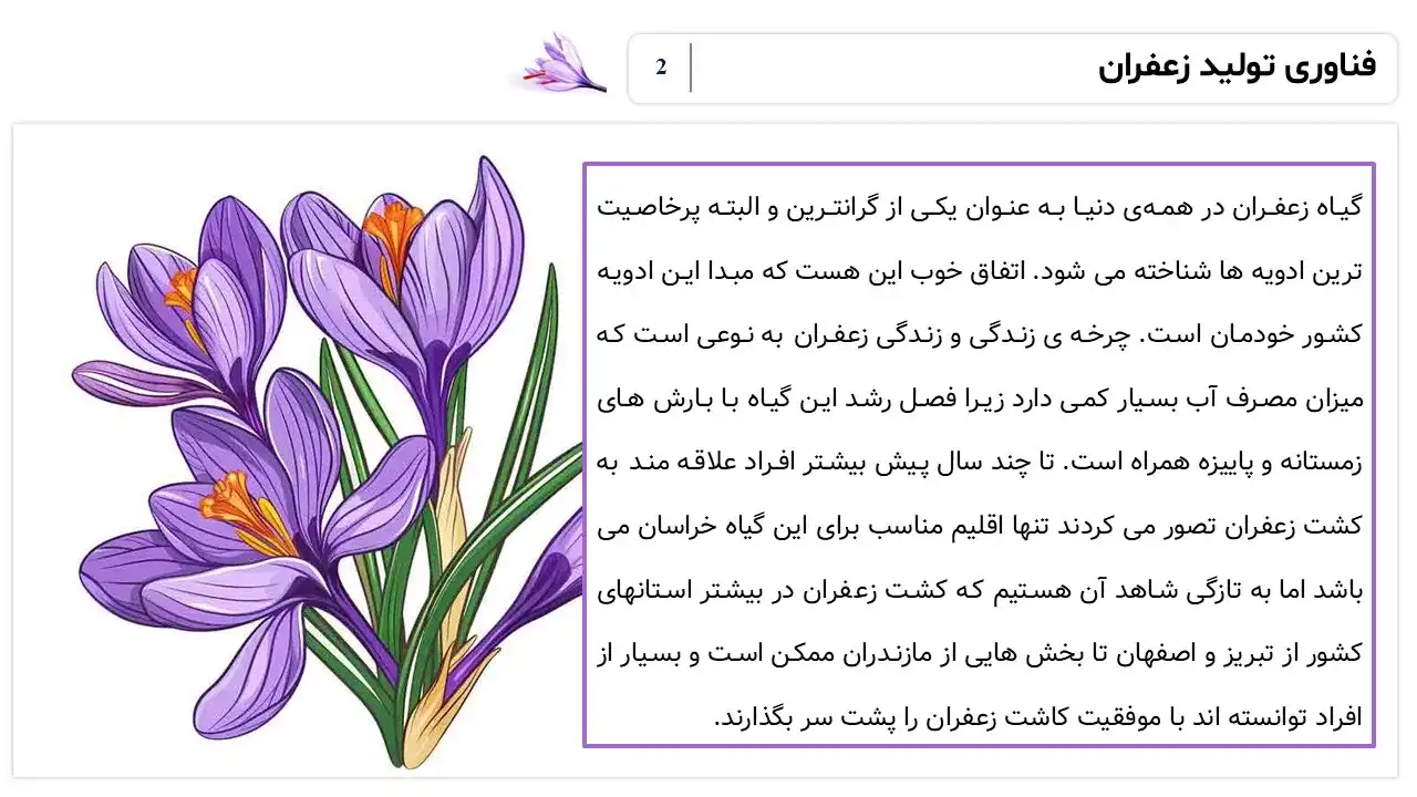 پاورپوینت تولید زعفران