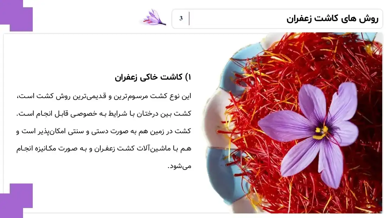 پاورپوینت تولید زعفران