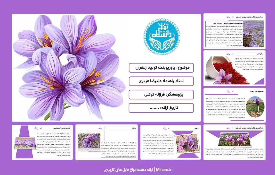 پاورپوینت تولید زعفران