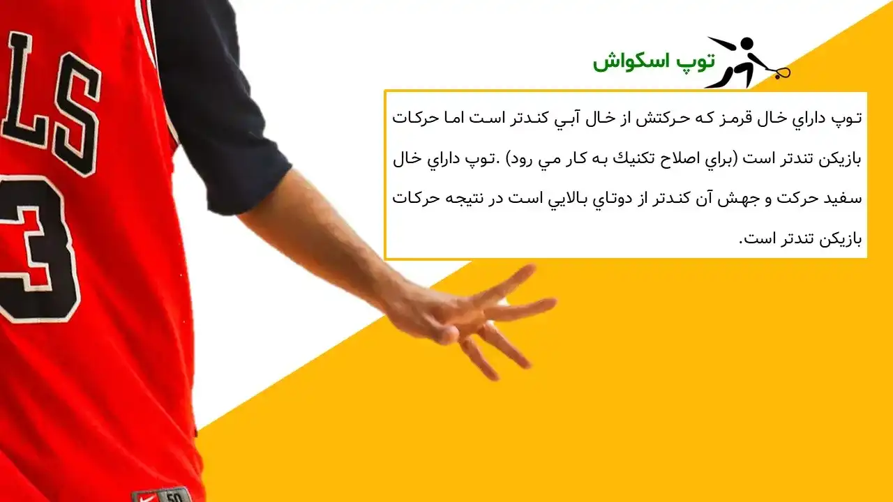 پاورپوینت ورزش اسکواش