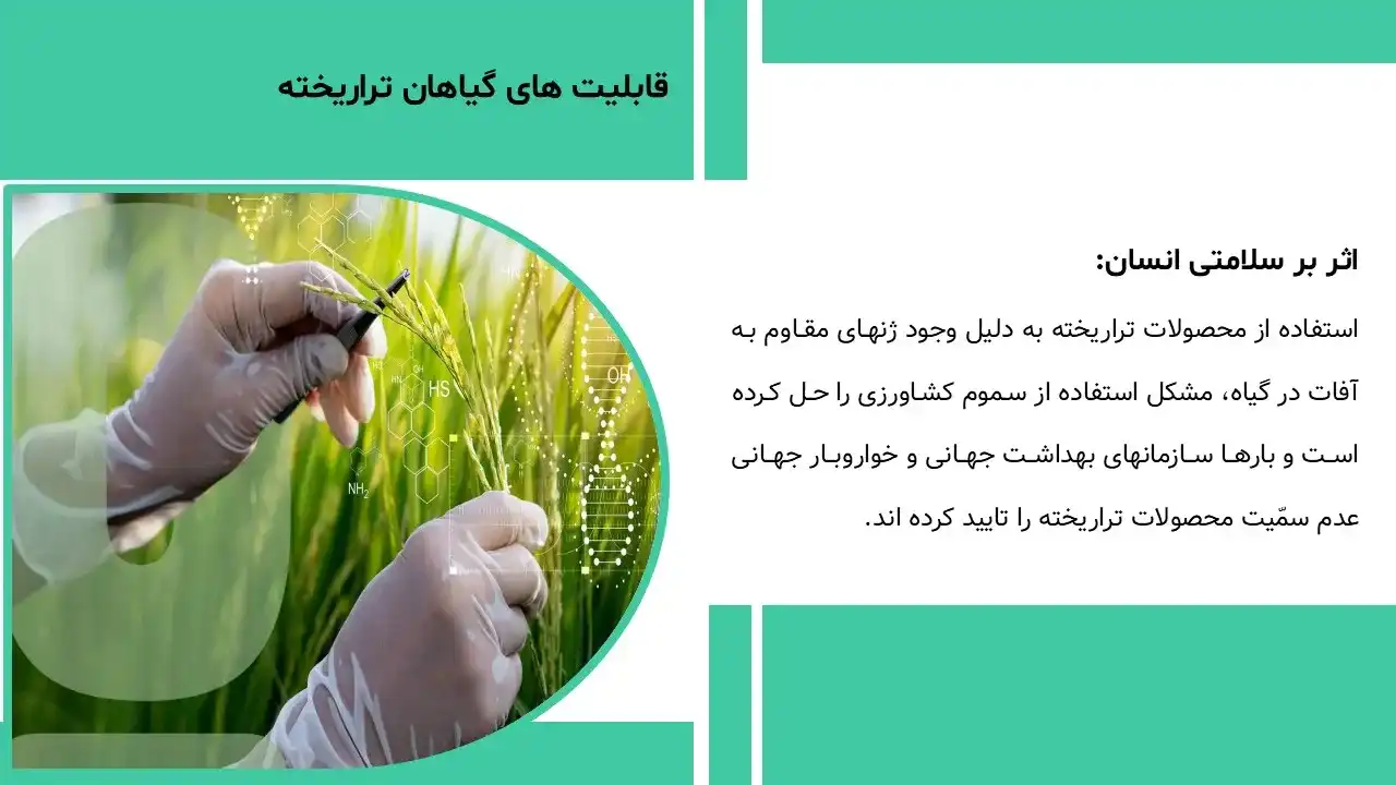 پاورپوینت گیاهان تراریخته