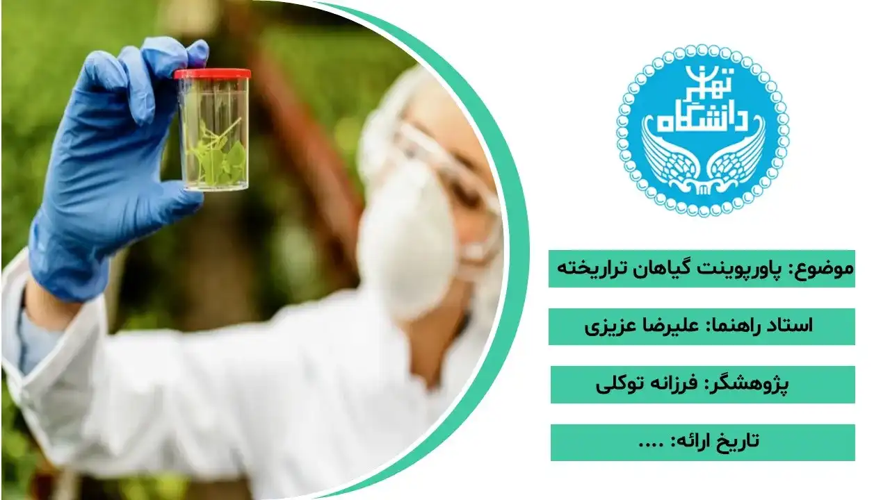 پاورپوینت گیاهان تراریخته