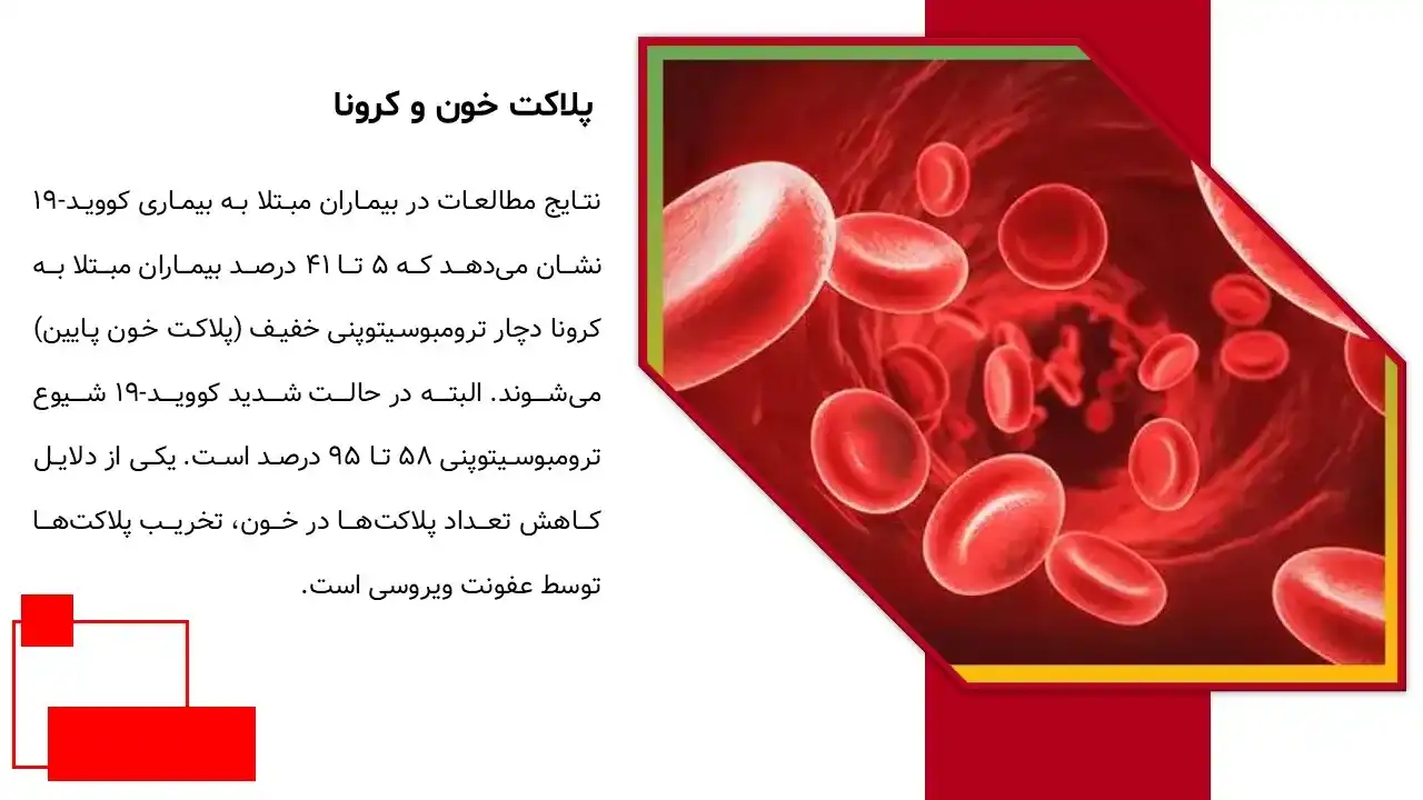 پاورپوینت پلاکت خون
