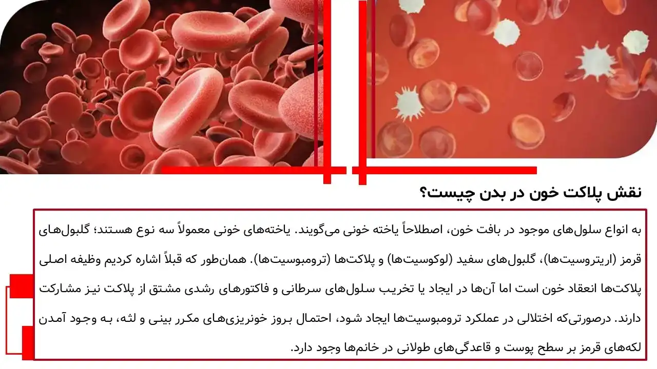 پاورپوینت پلاکت خون