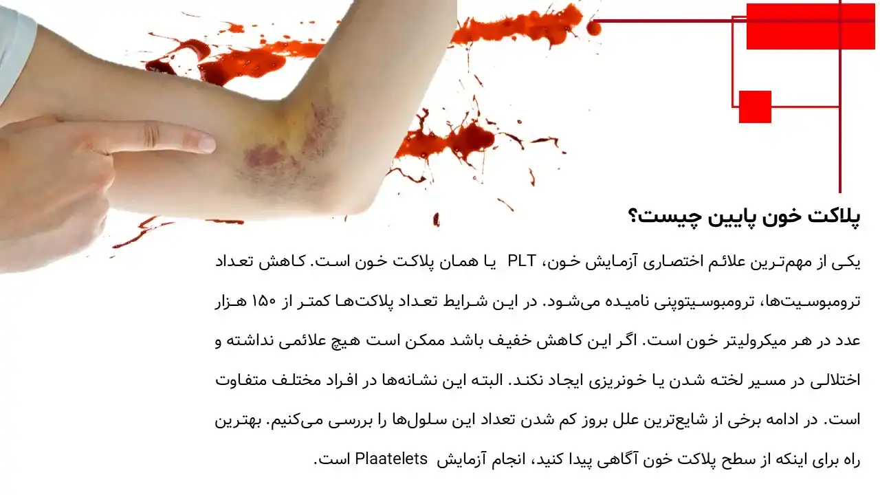 پاورپوینت پلاکت خون