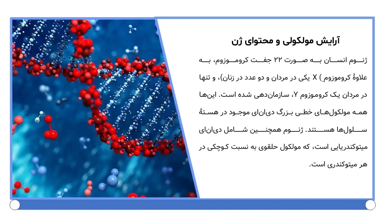 پاورپوینت ژنوم انسان و بیماری های ژنتیکی
