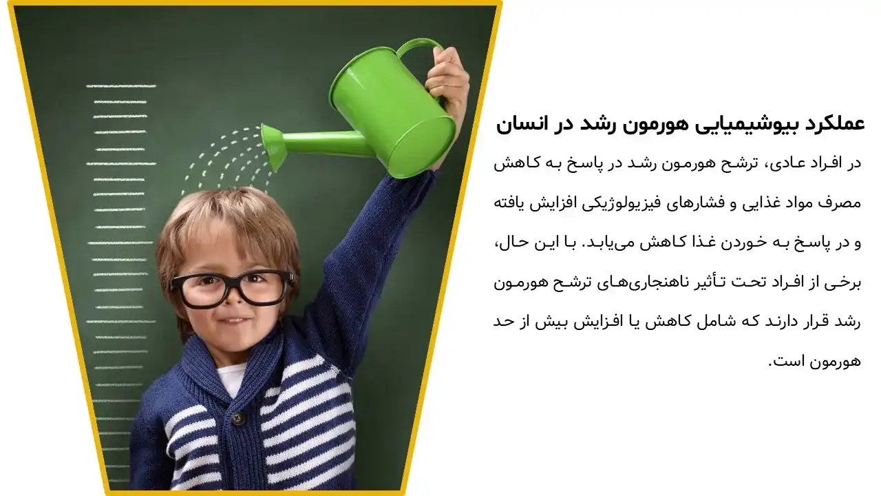 پاورپوینت هورمون رشد