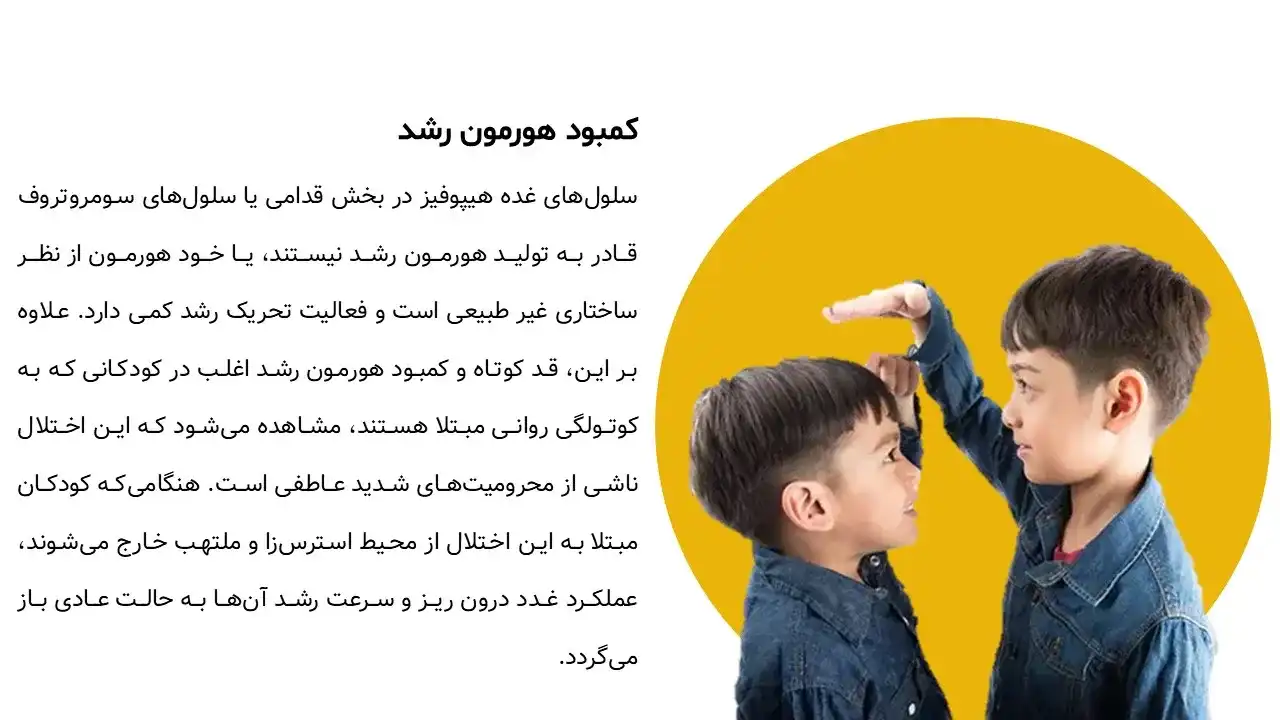 پاورپوینت هورمون رشد