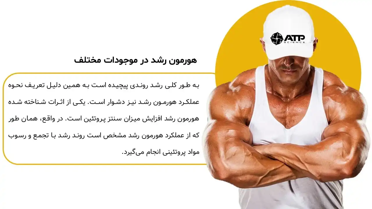 پاورپوینت هورمون رشد