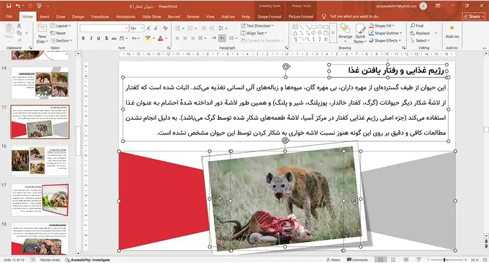 پاورپوینت حیوان کفتار
