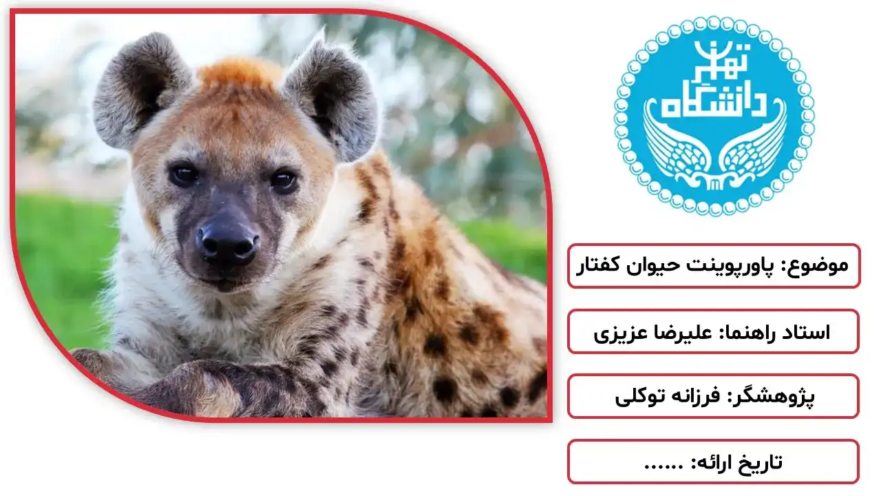 پاورپوینت حیوان کفتار