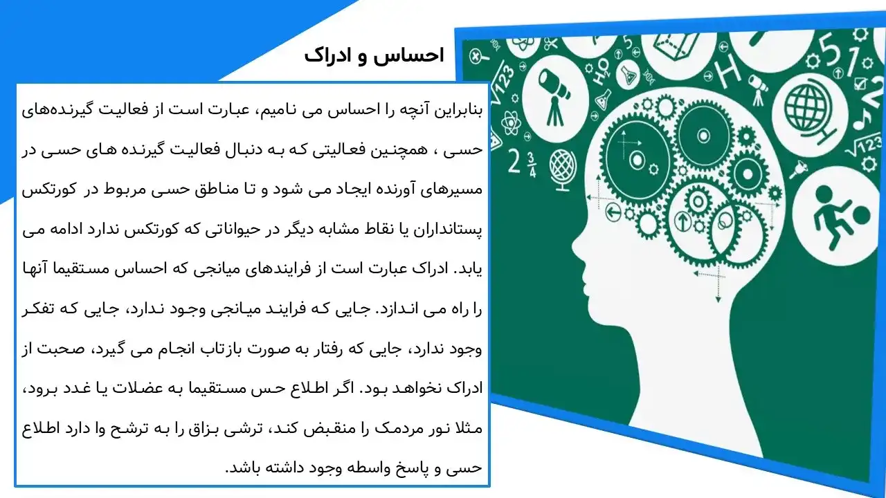 پاورپوینت خطای ادراکی مولر لایر