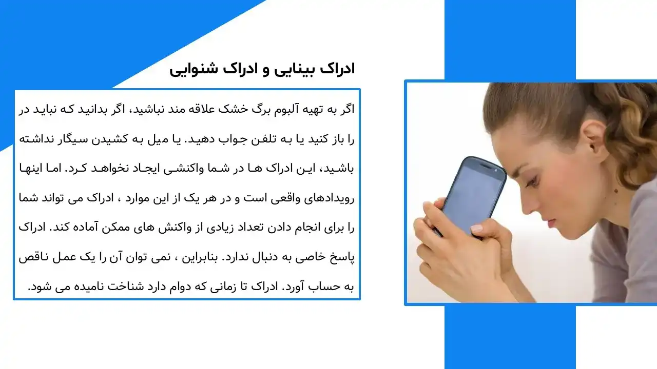پاورپوینت خطای ادراکی مولر لایر