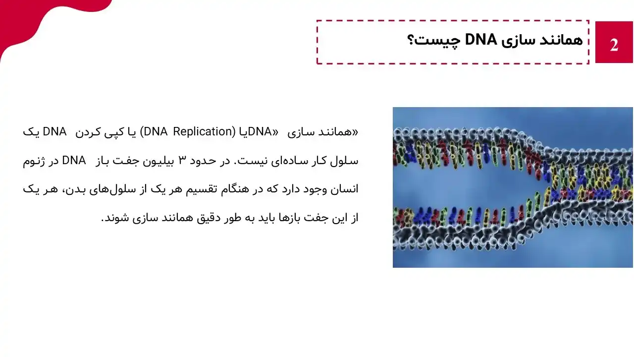 پاورپوینت همانندسازی DNA