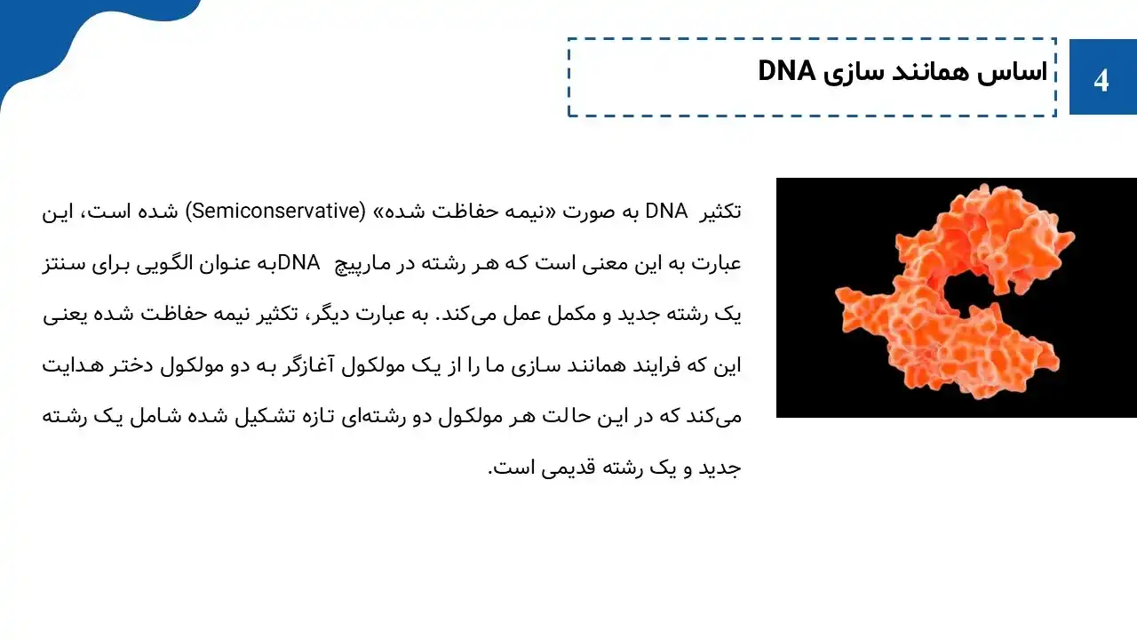 پاورپوینت همانندسازی DNA