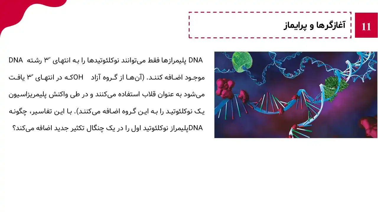 پاورپوینت همانندسازی DNA