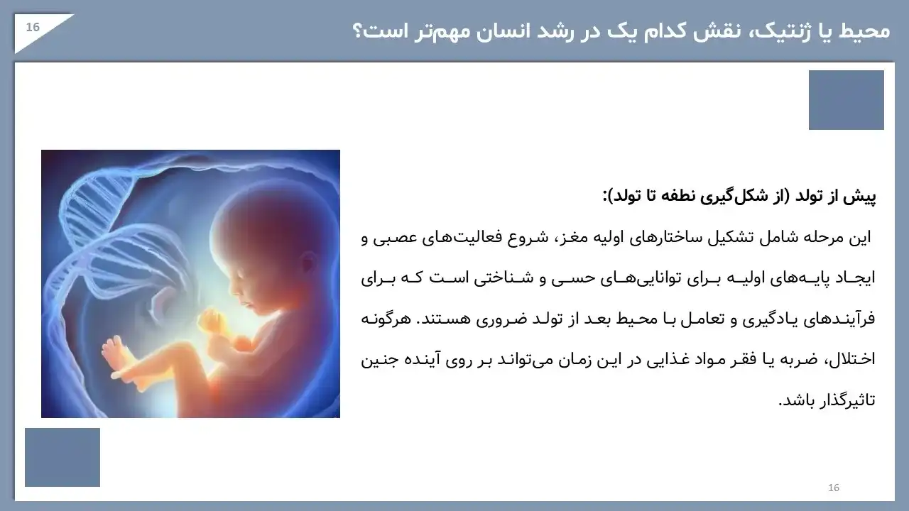 developmental-psychology-powerpoint-04 پاورپوینت روانشناسی تحولی
