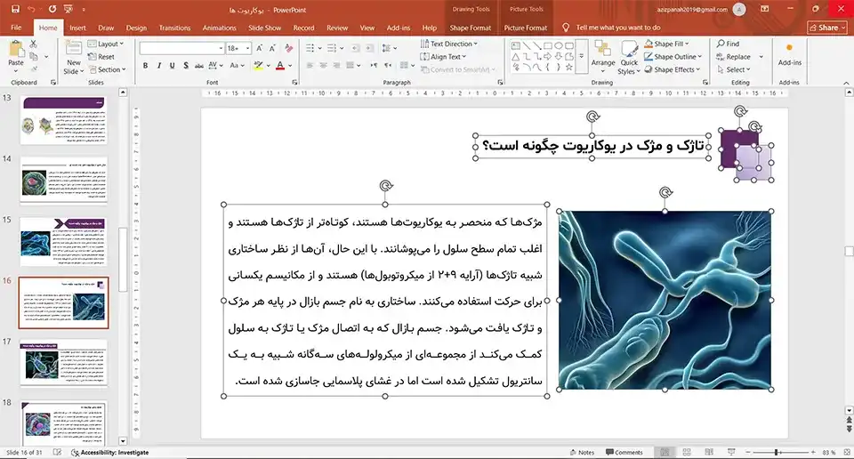 پاورپوینت یوکاریوت ها
