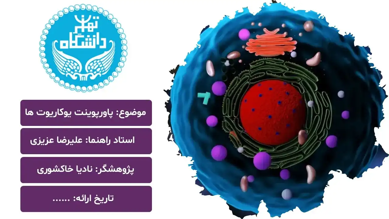 پاورپوینت یوکاریوت ها