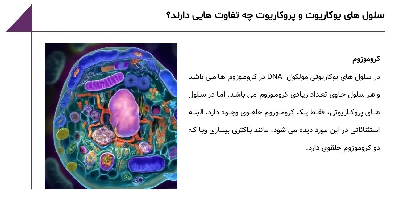 پاورپوینت یوکاریوت ها