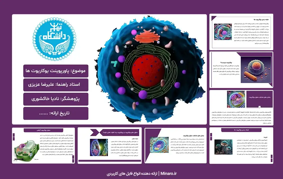 پاورپوینت یوکاریوت ها