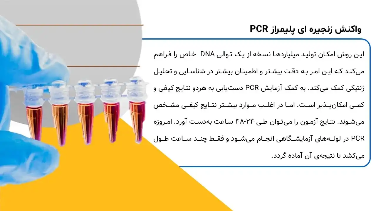 پاورپوینت میکروبیولوژی مواد غذایی