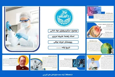 پاورپوینت میکروبیولوژی مواد غذایی