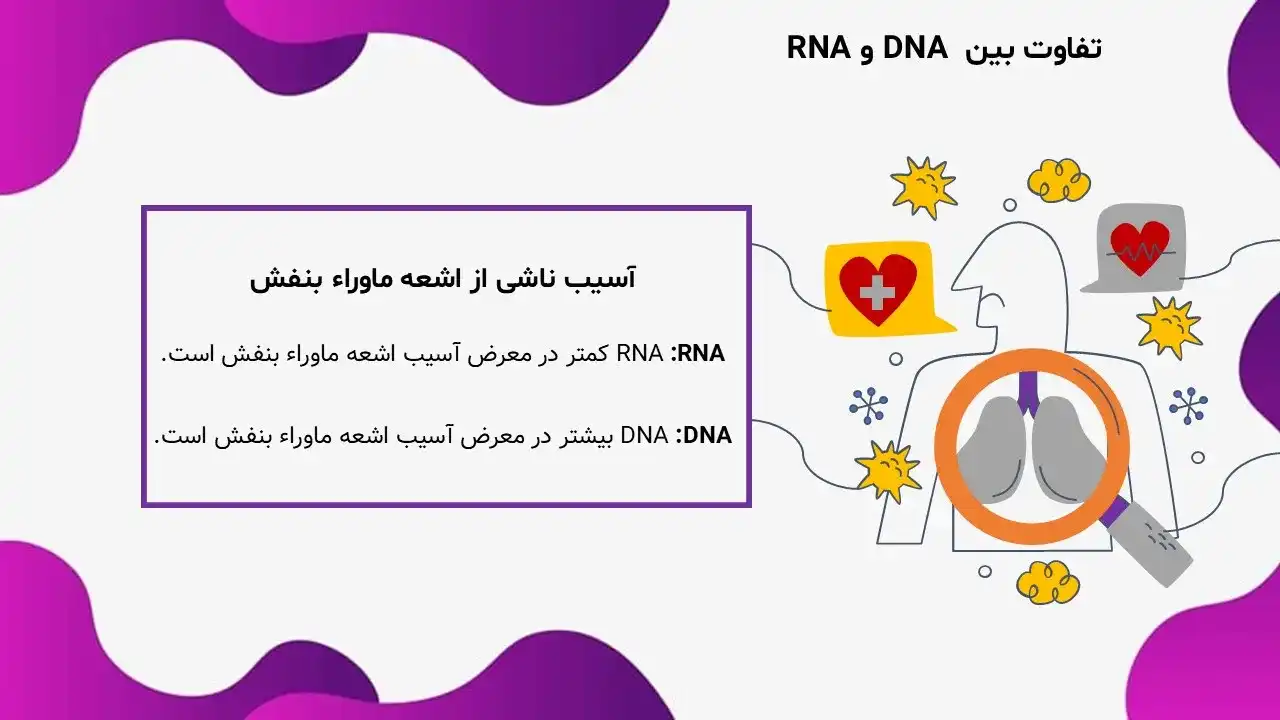 پاورپوینت تفاوت DNA و RNA