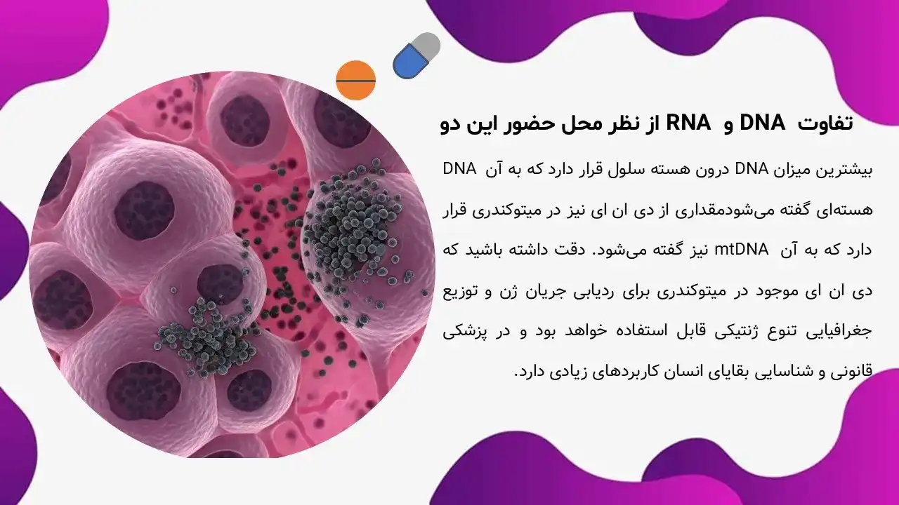 پاورپوینت تفاوت DNA و RNA