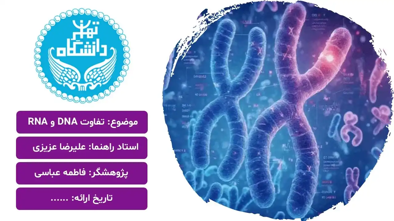 پاورپوینت تفاوت DNA و RNA