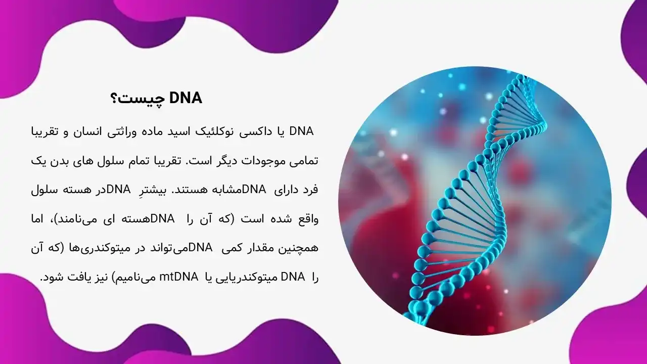 پاورپوینت تفاوت DNA و RNA