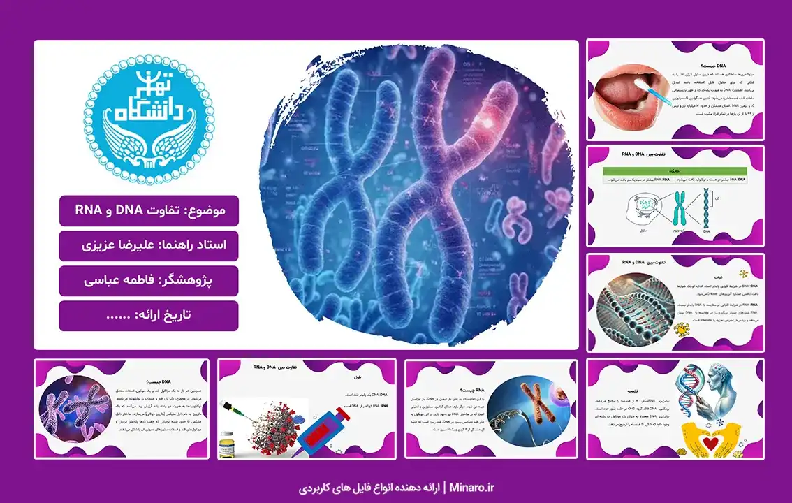 پاورپوینت تفاوت DNA و RNA