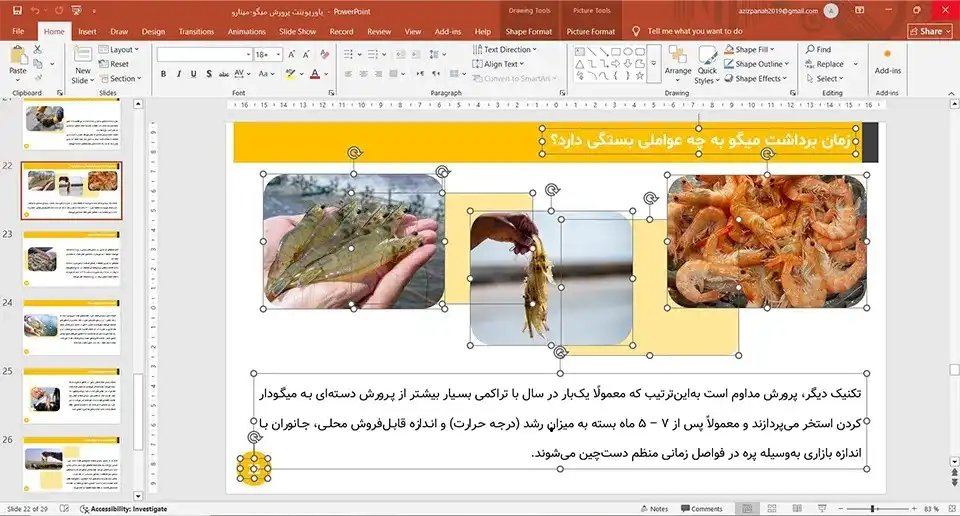 shrimp-breeding-powerpoint-02 پاورپوینت پرورش میگو