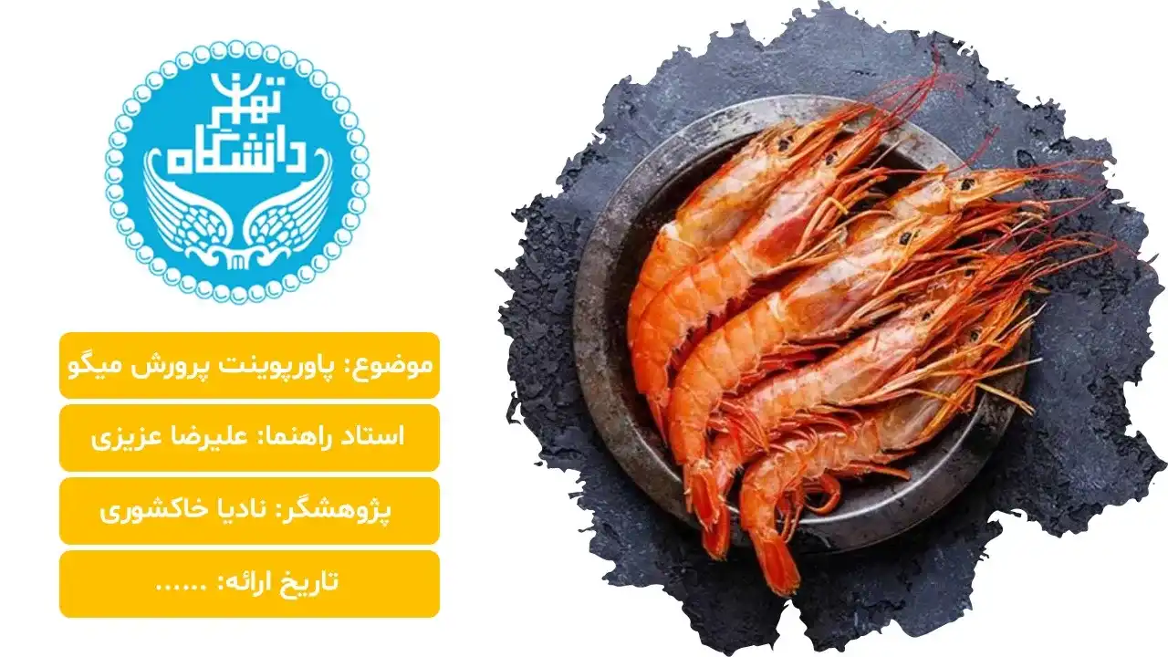 shrimp-breeding-powerpoint-03 پاورپوینت پرورش میگو