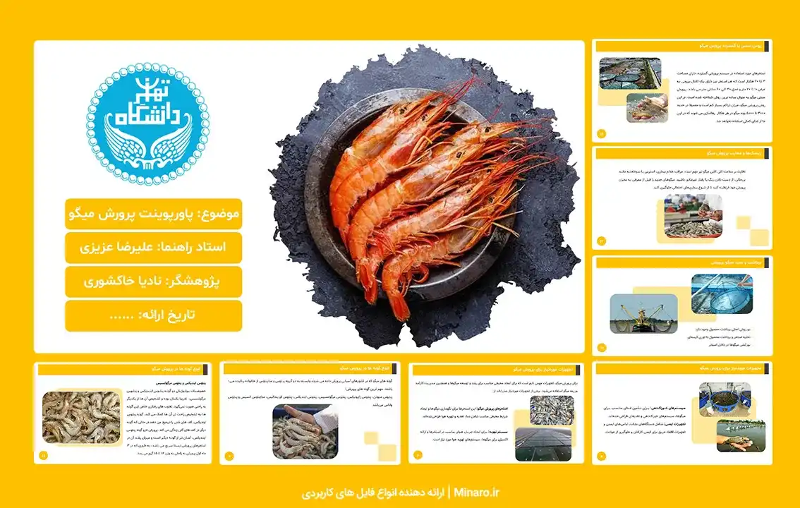 پاورپوینت پرورش میگو