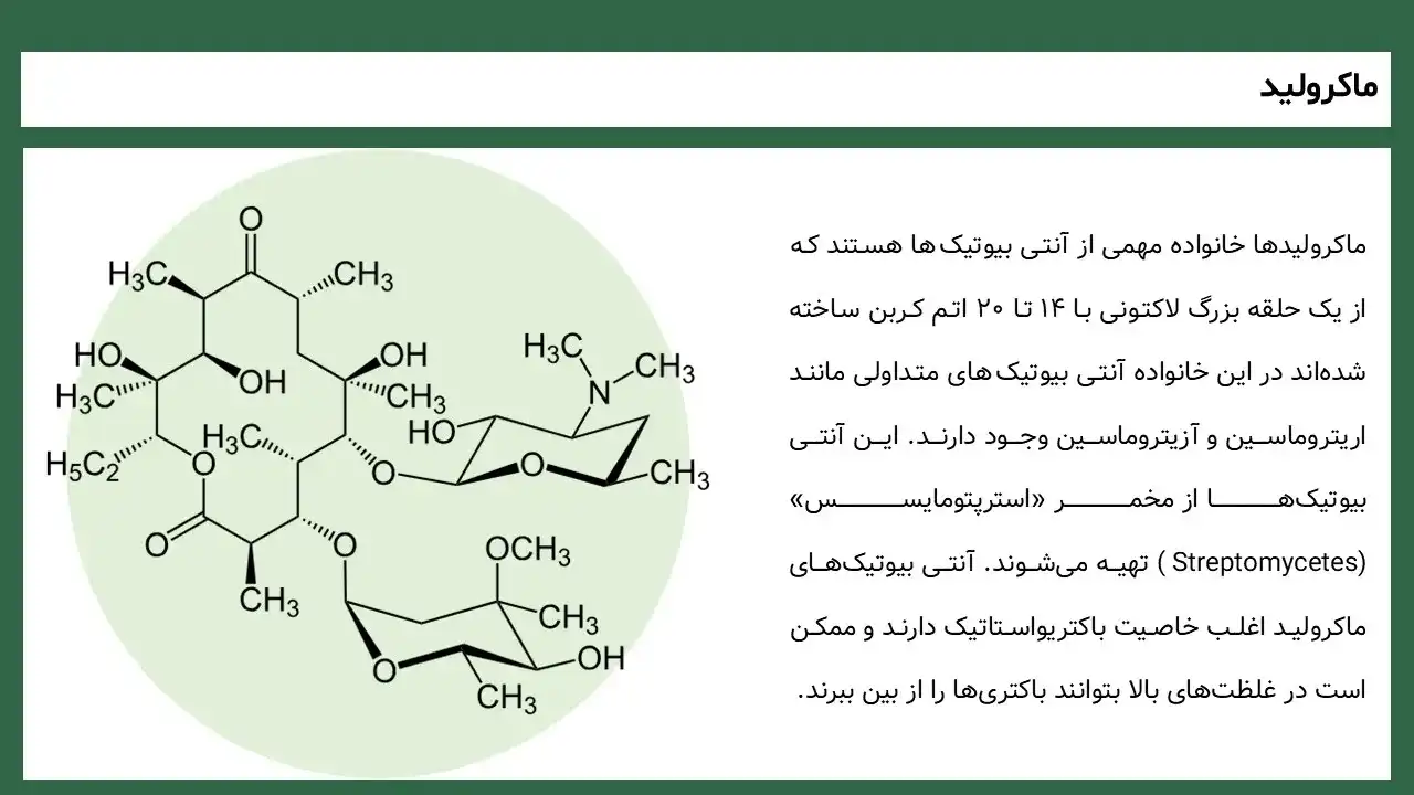 antibiotics-types-powerpoint-03 پاورپوینت آنتی بیوتیک ها و انواع آن