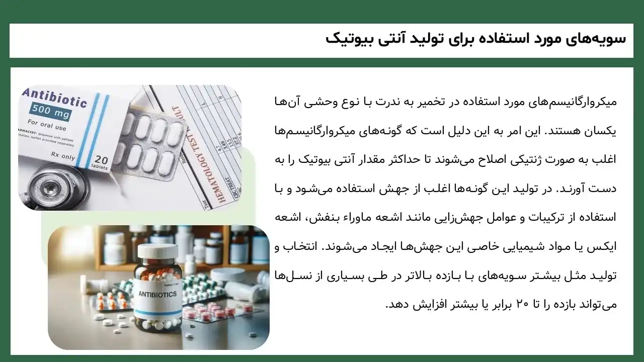 antibiotics-types-powerpoint-07 پاورپوینت آنتی بیوتیک ها و انواع آن
