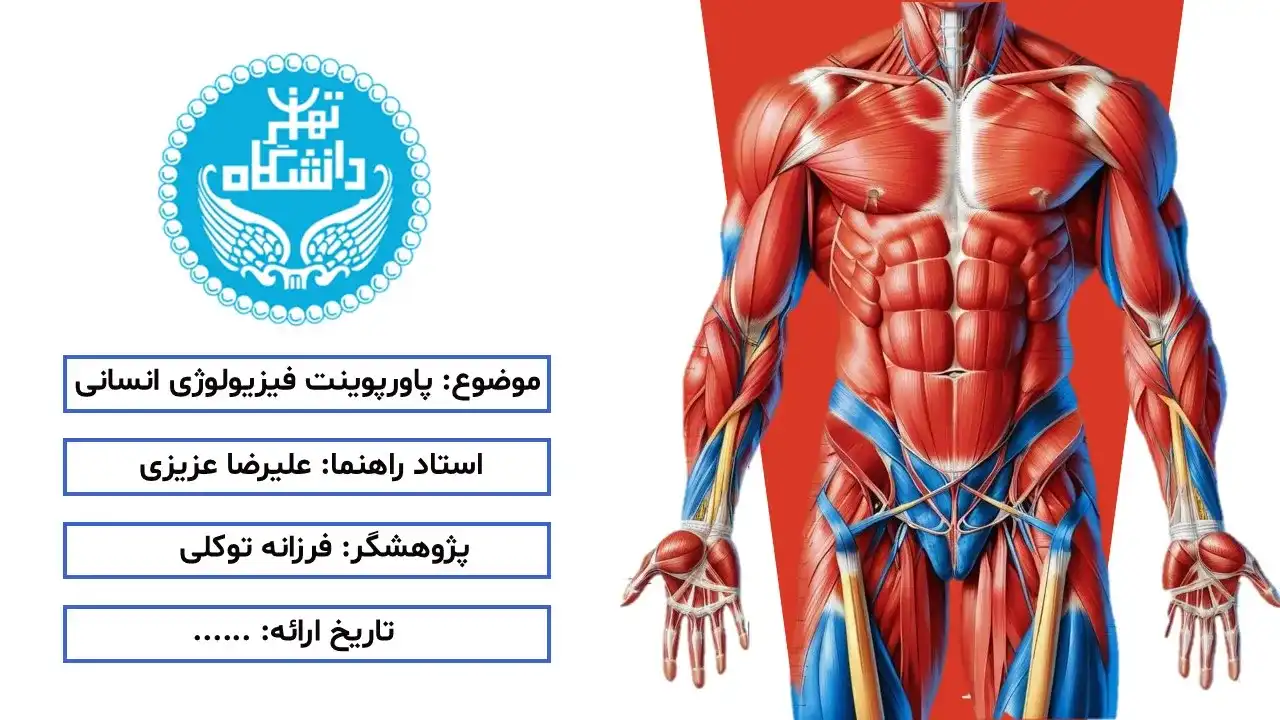 پاورپوینت فیزیولوژی انسانی