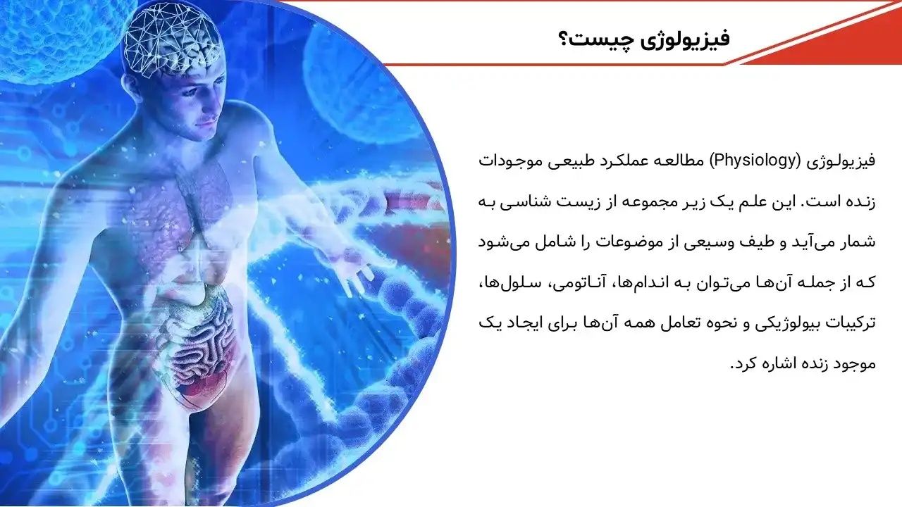پاورپوینت فیزیولوژی انسانی