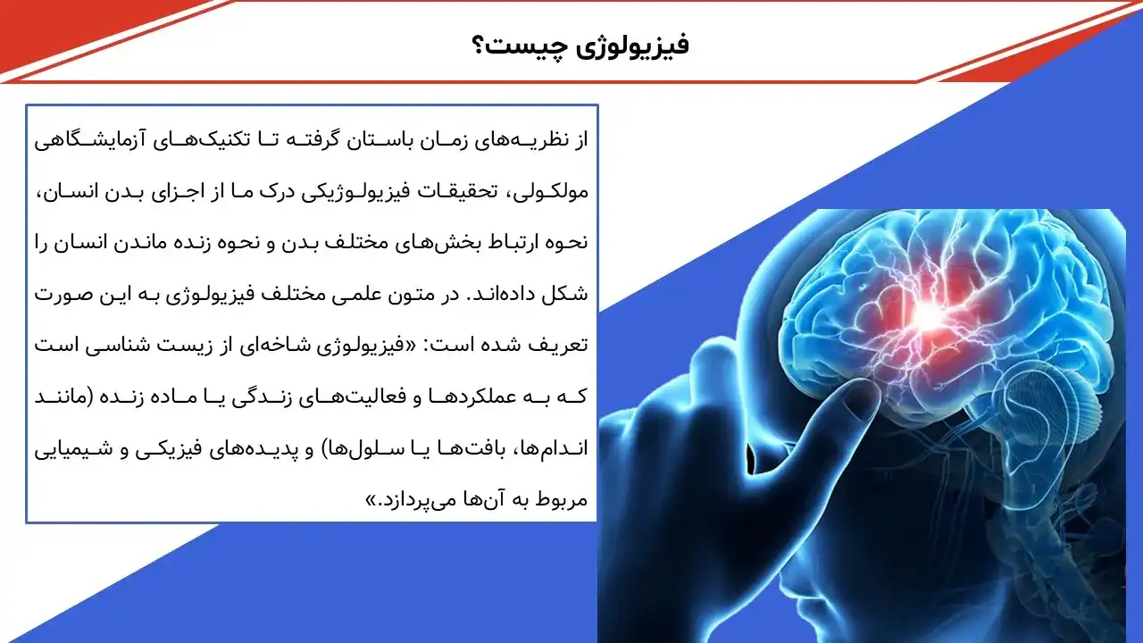 پاورپوینت فیزیولوژی انسانی