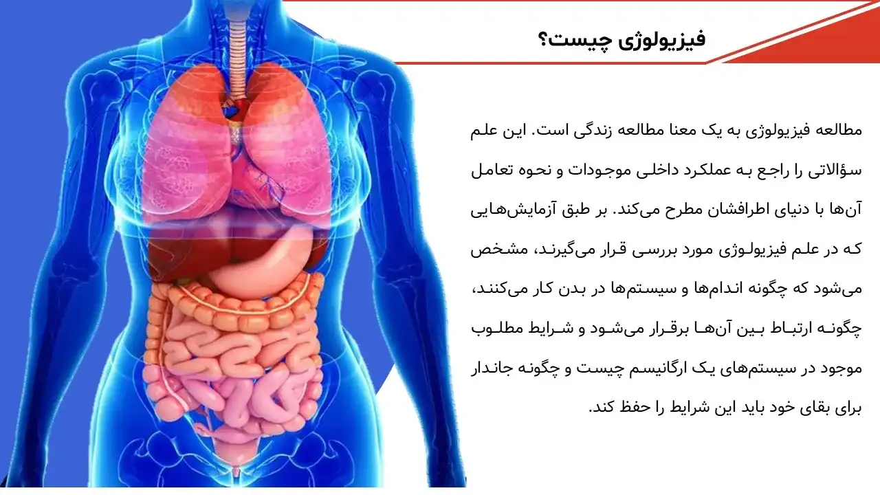 پاورپوینت فیزیولوژی انسانی