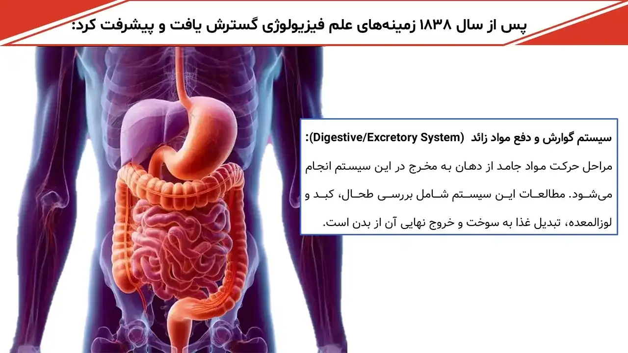 پاورپوینت فیزیولوژی انسانی