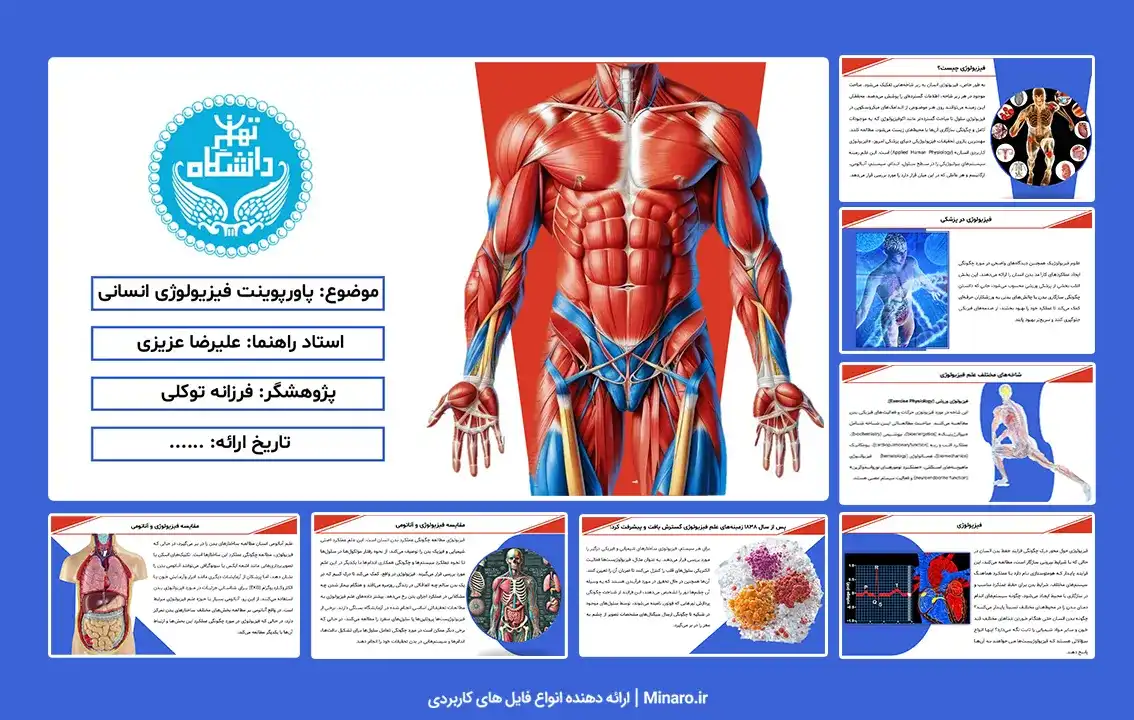 پاورپوینت فیزیولوژی انسانی