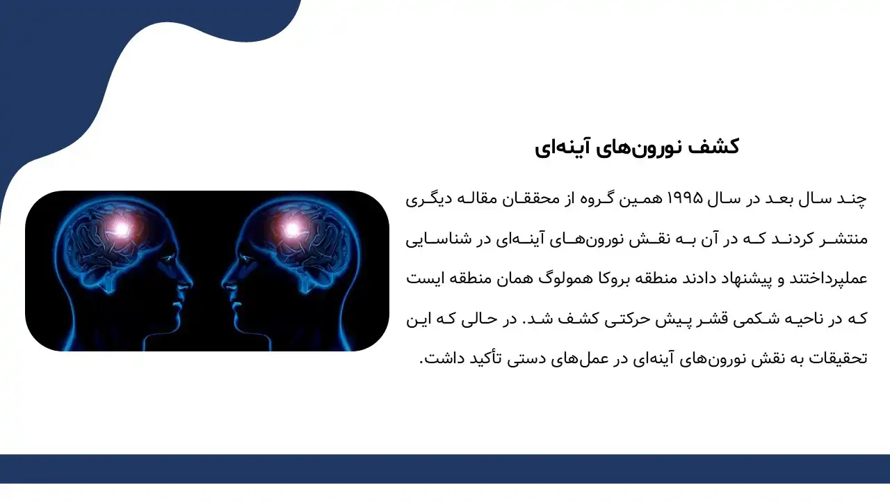 پاورپوینت نورون های آینه ای