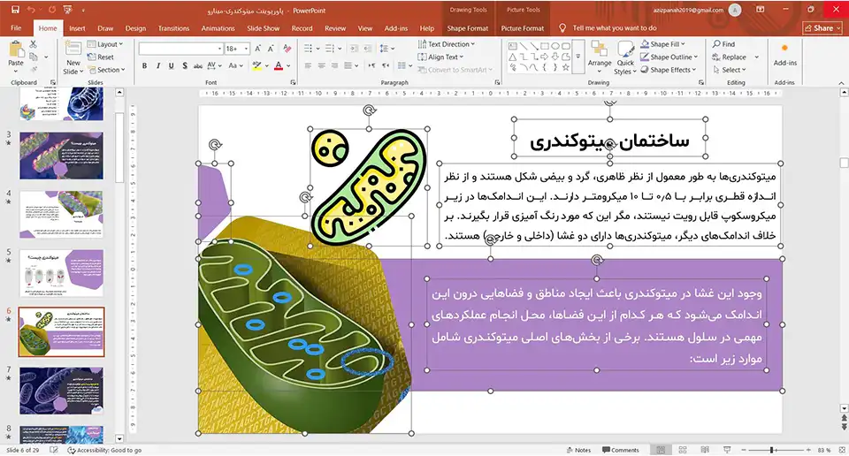 پاورپوینت میتوکندری