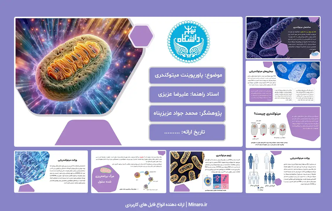 پاورپوینت میتوکندری